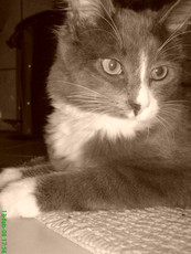 InLoveWithMyGuy's picture InLoveWithMyGuy's picture