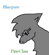 warriorfan101's picture warriorfan101's picture