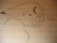 lunareclipse's picture lunareclipse's picture