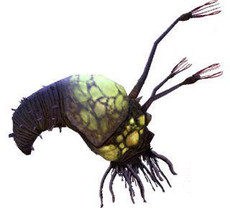 DingDong's picture DingDong's picture