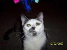 fergie4eva51's picture fergie4eva51's picture