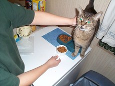 Zane118's picture Zane118's picture