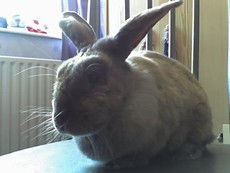 Bev1287's picture Bev1287's picture