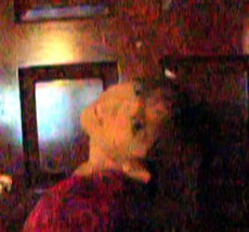 xxCherishxx's picture