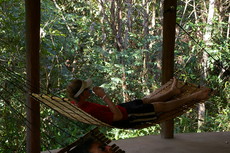 DaveWillow's picture DaveWillow's picture