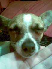 Shadylady's picture Shadylady's picture