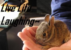 orangefanatic101's picture orangefanatic101's picture