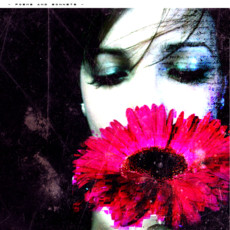 Cassie616's picture Cassie616's picture