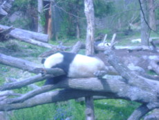 breakingdawn1213's picture