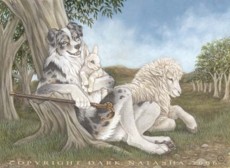 SparkyRuffWoof's picture SparkyRuffWoof's picture