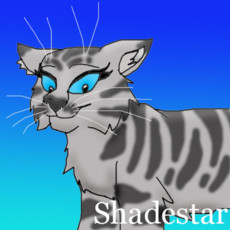 Shadestar's picture