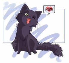 MewKitty's picture