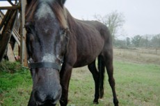 Bama's picture Bama's picture