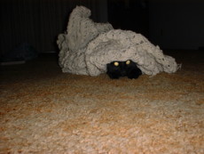 wordsmith216's picture