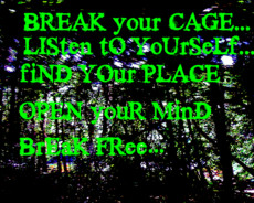 thedudewhodonttalk18's picture thedudewhodonttalk18's picture