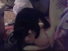 AnimeKilala's picture AnimeKilala's picture