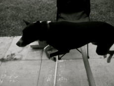 Pickle13's picture Pickle13's picture