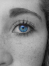 nootch10's picture nootch10's picture