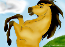 HorseLover1996's picture