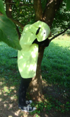 FugiN0's picture FugiN0's picture